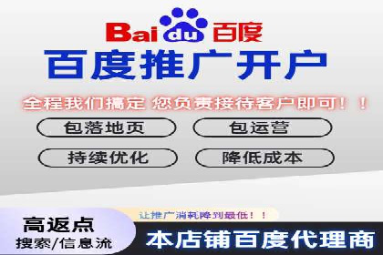 某行业sem百度竞价全解析